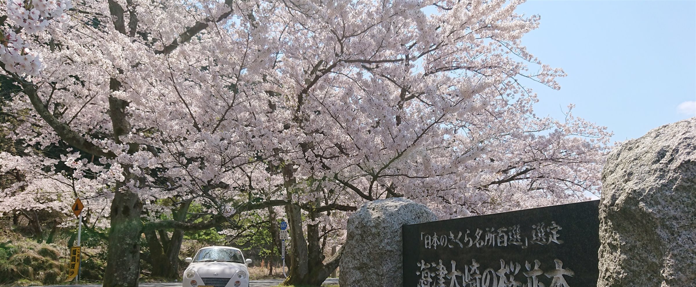 省エネ住宅の優遇措置